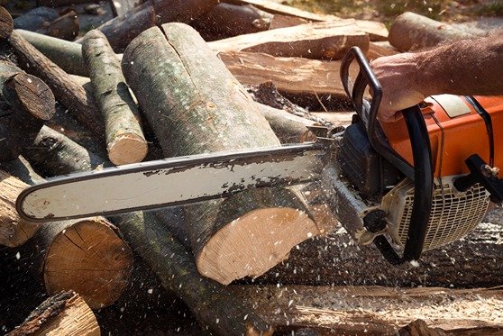 Key Benefits of Petrol Chainsaws