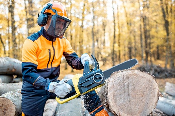 Petrol Chainsaw Safety