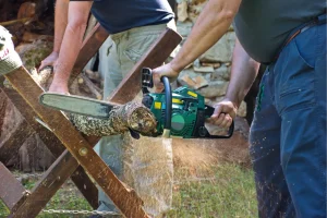 Chainsaws for sale