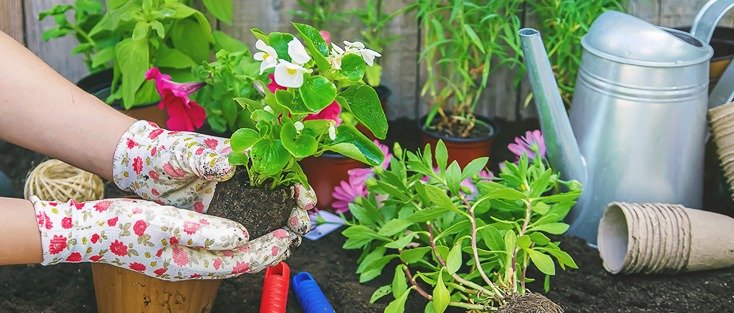 basic garden design ideas