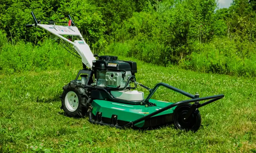 Spring Garden Solutions for Wet Soil & Overgrowth in Ireland