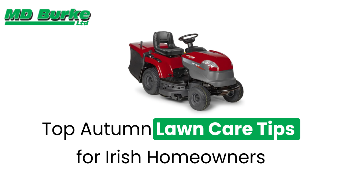 Top Autumn Lawn Care Tips for Irish Homeowners